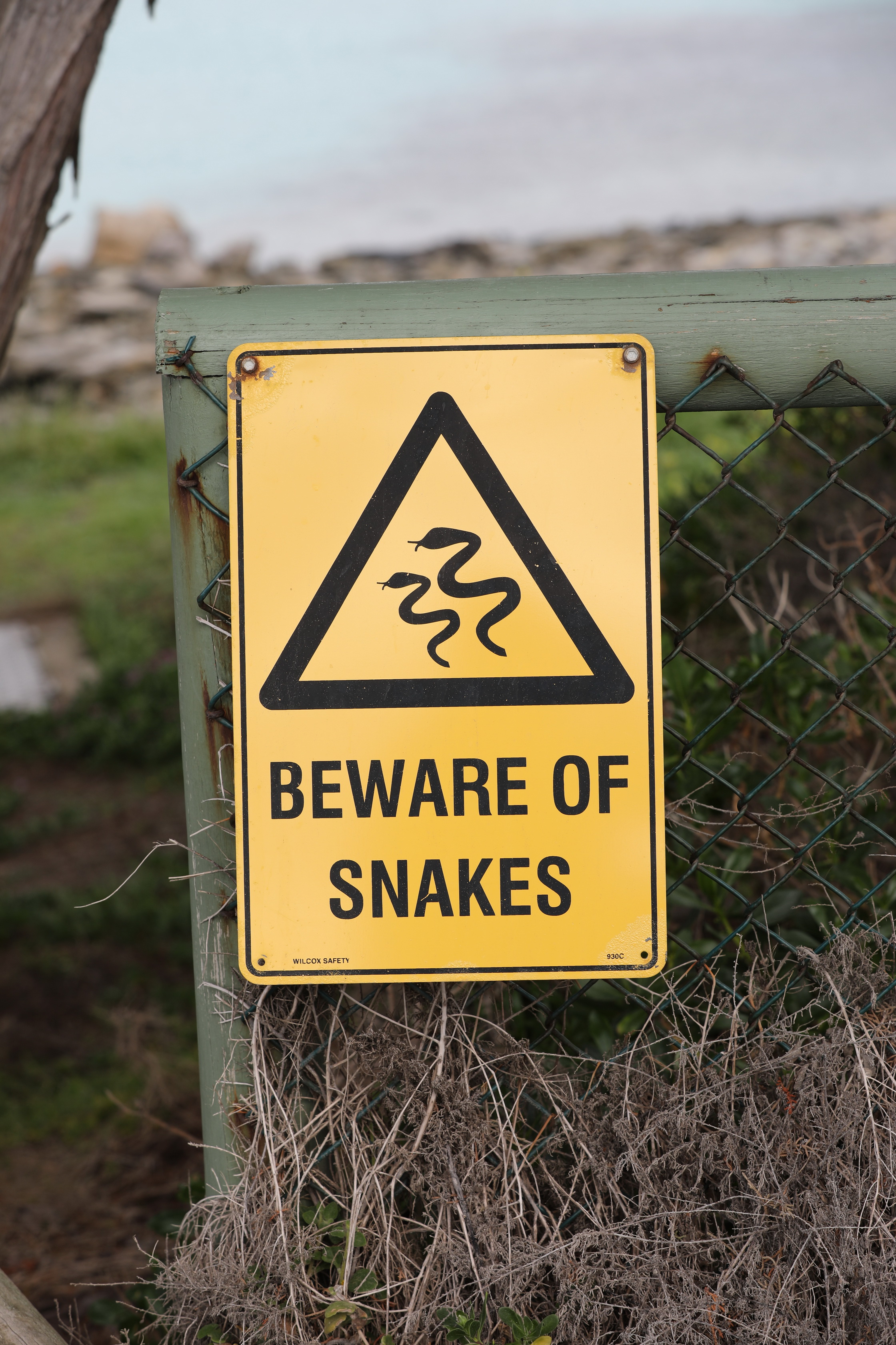 2019 10 07 15 03 34 Canon EOS 5D Mark IV 0023